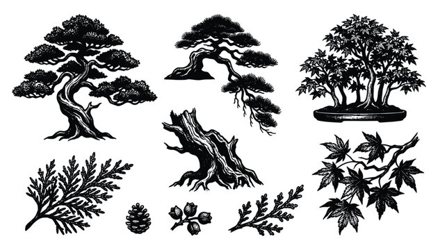 Collection of bonsai trees and japanese foliage elements graphic