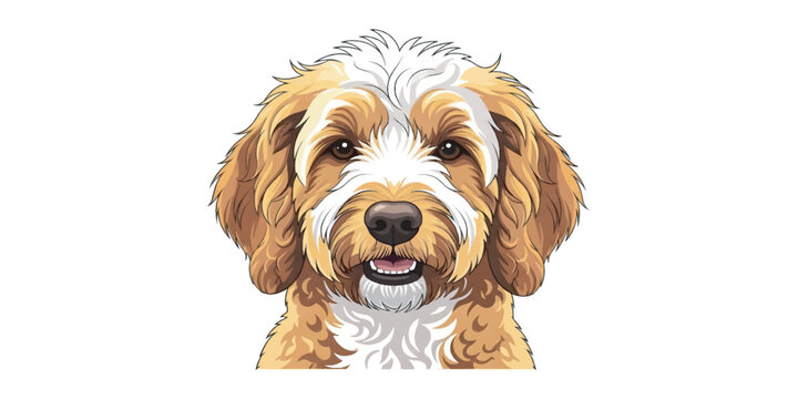 Fluffy Goldendoodle Dog Portrait Vector Illustration