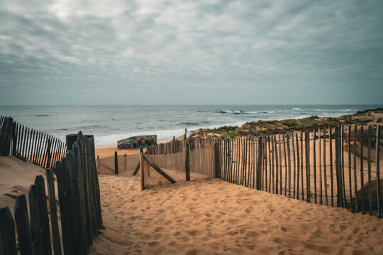 Vibrant high saturation coastal scenery in Labenne Ocean with warm golden sand dunes and rustic wooden fences under a soft bright overcast sky, summer landscape in Landes, France.