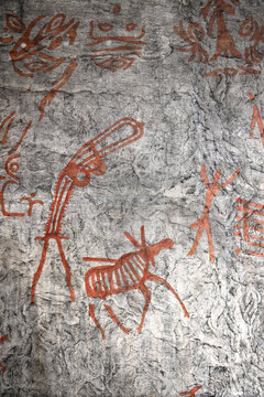 Rock art of Khakassia. Petroglyphs. Estampage. Russia