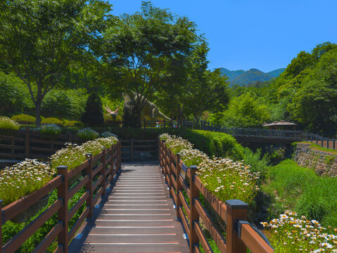Pedestrian footbridge and flowers in bloom at Apsan Mountain Public Park in Daegu City, Gyeongsangbuk‑do, South Korea