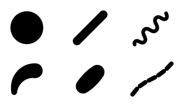 Abstract Black Shapes, Simple Geometric Forms, Organic Elements, Minimalist Vector Graphics