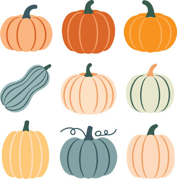 pumpkin illustration set flat autumn gourd elements