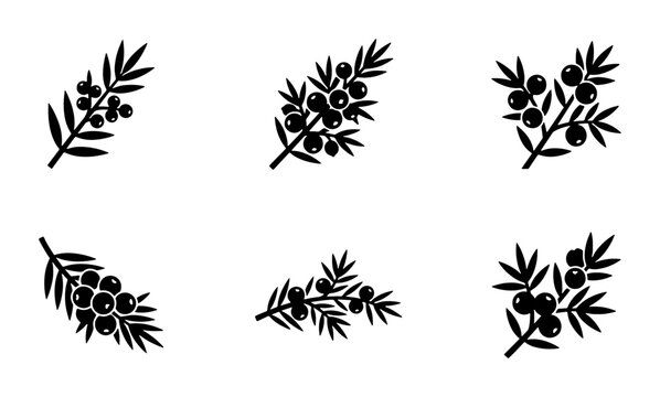 Botanical Vector Icons: Juniper Berry Sprigs, Minimalist Black & White Plant Elements