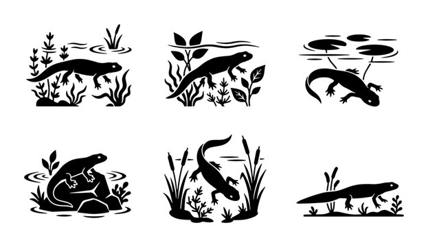 Amphibian Vector Icons: Salamander, Newt, Tadpole Silhouettes in Aquatic Environments