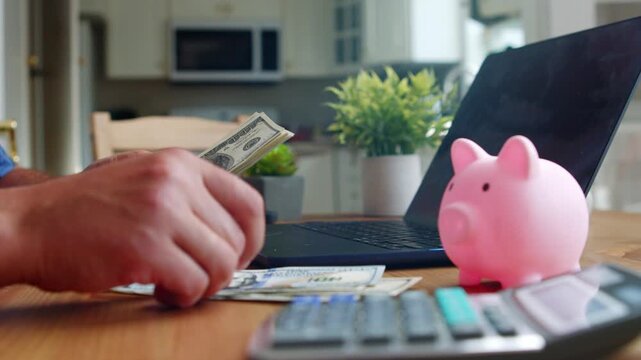 A person organizes cash while managing finances in a cozy home office filled with plants and sunlight, happily tracking their expenses with a calculator