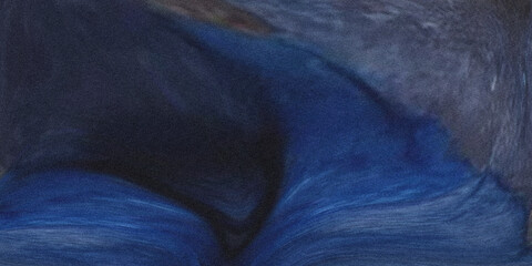 Blue monkey fur texture close up wildlife photography © Nasrin