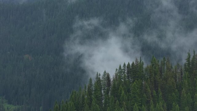 Aerial zoom shot of low clouds in St Joe Mountains near Wallace Idaho in spring