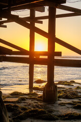 Obraz premium Golden sunset shining through wooden support beams beneath Crystal pier at Pacific Beach, San Diego, California