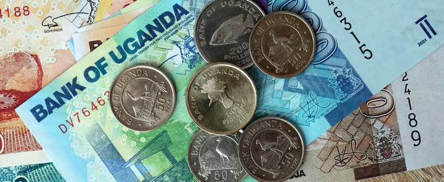 Ugandan shilling money bills and coins on table. Uganda cash of UGX currency close up