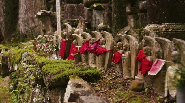 Early Summer Morning Jizo Statues in Sunlight at Okunoin, Koyasan UNESCO World Heritage, Koya Town, Wakayama, Japan　世界遺産 高野山「初夏 早朝の奥之院・朝陽を浴びる地蔵」和歌山県高野町