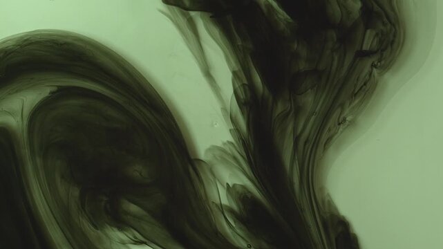 Abstract background of dark green and black ink swirling underwater. Mesmerizing fluid motion creates a moody, smoky organic pattern. Perfect for dramatic overlays.