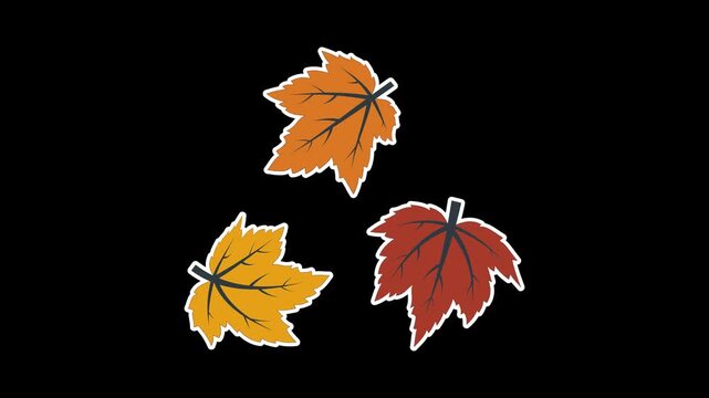 Seamless looping animation of three swinging dry maple leaves for autumn and fall seasonal concepts. Flat style sticker design element isolated on transparent alpha channel background