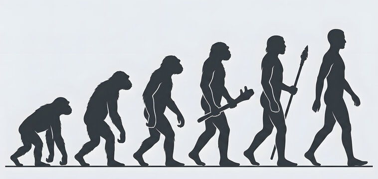 Human evolution stages from ape to modern man, isolated on transparent background, representing scientific progress and development. Generative AI illustration