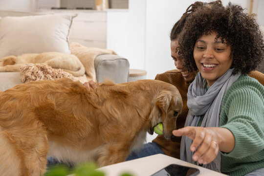 Couple watching woman in green sweater reaching for phone at home, dog holding ball, copy space