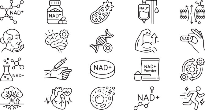 Minimalist NAD+ Supplement Line Icons for Anti Aging Longevity Cellular Energy and Health
