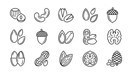 Set of hand drawn sketch nuts and seeds icons. © Arzo