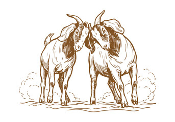 Lively Farm Life: Hand-Drawn Boer Goat Sketch Collection from Portraits to Herding Scenes © Az to Design