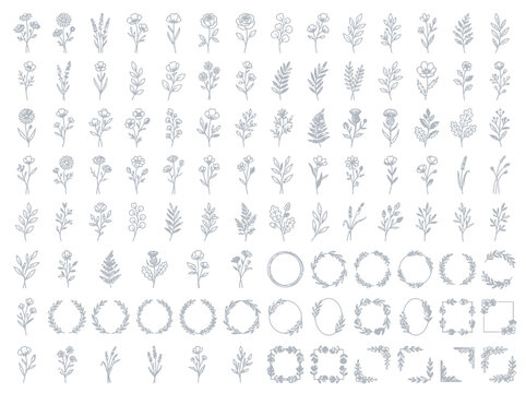 Vintage Floral Alphabet and Decorative Vector Ornament Set with Seamless Pattern Design Elements