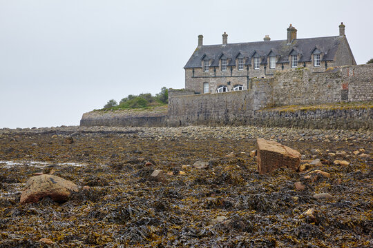 Island cafe at St Michael's Mount with bladder wrack on the shore. Cornwall. England. Great Britain