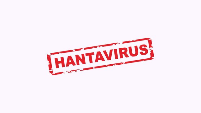 Red ink rectangle stamp with hantavirus text. Suitable for medical articles, blog posts, educational materials, and presentations.