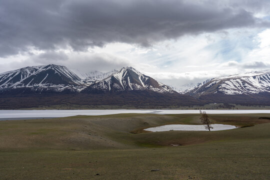 Panoramic View of Alpine Lake with Snow-Capped Mountain Range and Lone Tree Under Dramatic Storm Clouds, Mongolian Altai