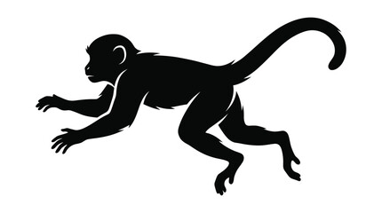 Silhouette of a monkey in motion, black on white background, vector illustration © wati