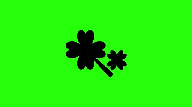 Premium 4K video showcasing a lucky fortune four leaf clover shamrock foliage plant silhouette bouncing. Clean spring season festival icon asset.