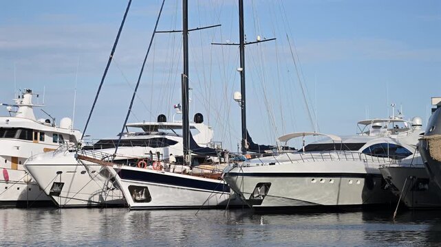 Collection of luxury yachts and motorboats moored side by side in a the Cannes marina under clear blue skies