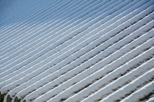 Snow covered traditional tile roof pattern of south korea temple in winter.