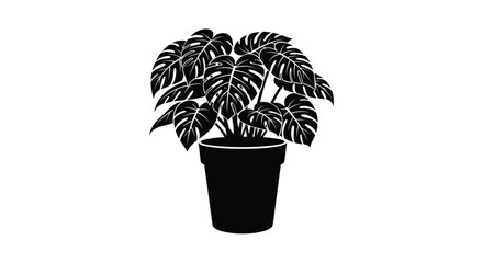 Monstera plant in pot silhouette for interior design vector. © Most Anowara
