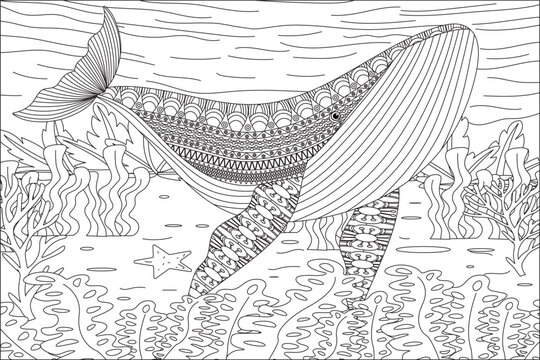 Whale in underwater adult coloring page outline art