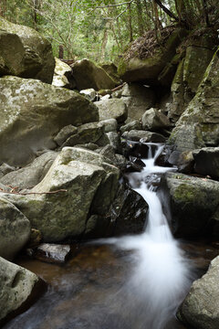 緑の森の下の積み重なる岩の間を流れ落ちる沢
