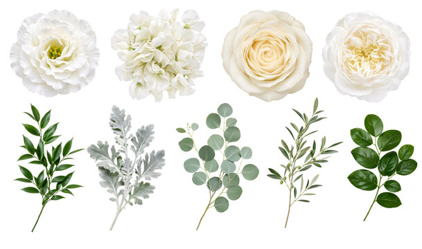White Wedding Flowers and Greenery Collection