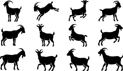 Fototapeta premium Black Goat Silhouette Collection Vector Set Featuring Various Dynamic Jumping Standing and Walking Poses on Gray Background