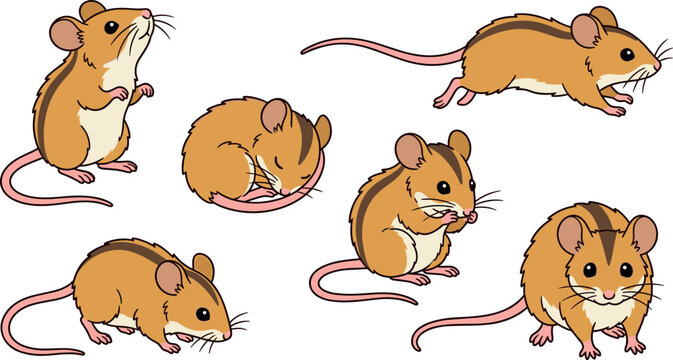 Cute Striped Field Mouse Character Vector Set Featuring Adorable Fieldmice in Various Poses Running Sleeping Sitting and Eating Cartoon Style Illustrations