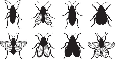 set of Black and white vector illustrations of different beetle and fly insects © Nur