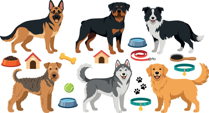 Popular Dog Breed Vector Character Set with German Shepherd, Rottweiler, Border Collie, Husky, Golden Retriever, Airedale Terrier, and Pet Care Supply Icons