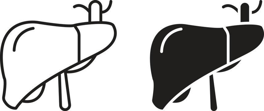 Liver icon