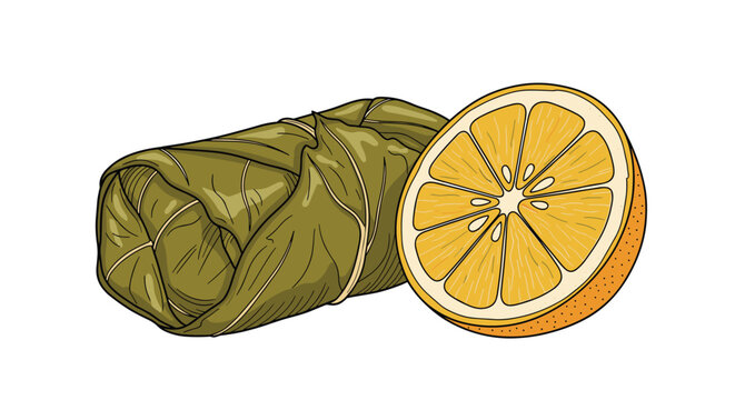 Traditional dolma stuffed grape leaf roll served next to a fresh juicy half of an orange on a plain white background.