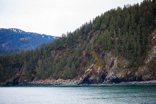Kenai Fjords National Park, tree covered mountain by the water