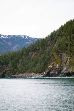 Kenai Fjords National Park, tree covered mountain by the water, vertical