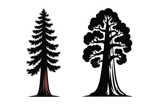 Giant sequoia and pine tree silhouette vector set with silhouette, illustration