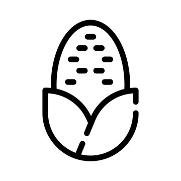 paraguay corn line icon