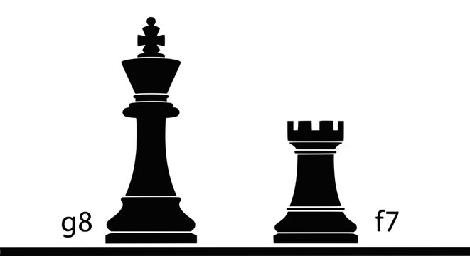 Chess King and Rook Silhouettes on White Background with Coordinates