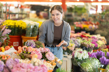 Near showcase with cut flowers, girl visitor examines bunches of hydrangea, selects flowers, and buys bouquet at self-service store... © JackF