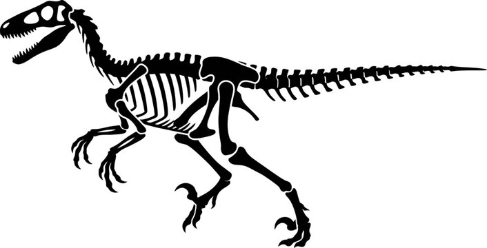 Black silhouette of a running velociraptor dinosaur skeleton
