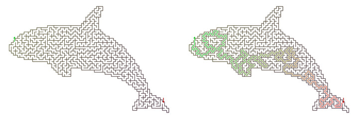 Maze puzzle shaped like a killer whale with entry and exit  