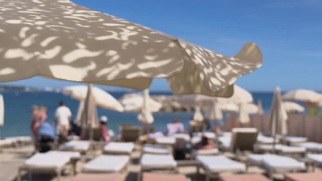 Soft focus view of an upscale beachfront resort featuring rows of sun loungers, decorative parasols, and views of the sparkling sea