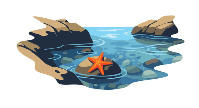 Vibrant Red Starfish Resting on a Rock in a Clear Blue Tide Pool Illustration with Coastal Stones and Water Ripples
